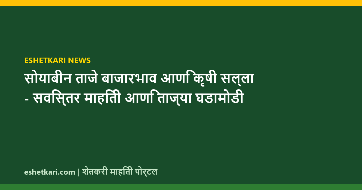 सोयाबीन ताजे बाजारभाव आणि कृषी सल्ला - सविस्तर माहिती आणि ताज्या घडामोडी