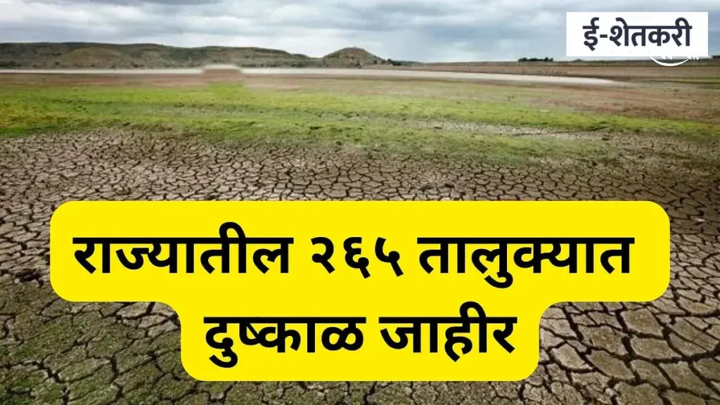 pune news: २६५ दुष्काळग्रस्त तालुक्यांची जिल्हानिहाय यादी: तुमचा तालुका आहे का? पाहा संपूर्ण तपशील