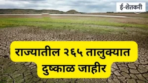 pune news: २६५ दुष्काळग्रस्त तालुक्यांची जिल्हानिहाय यादी: तुमचा तालुका आहे का? पाहा संपूर्ण तपशील