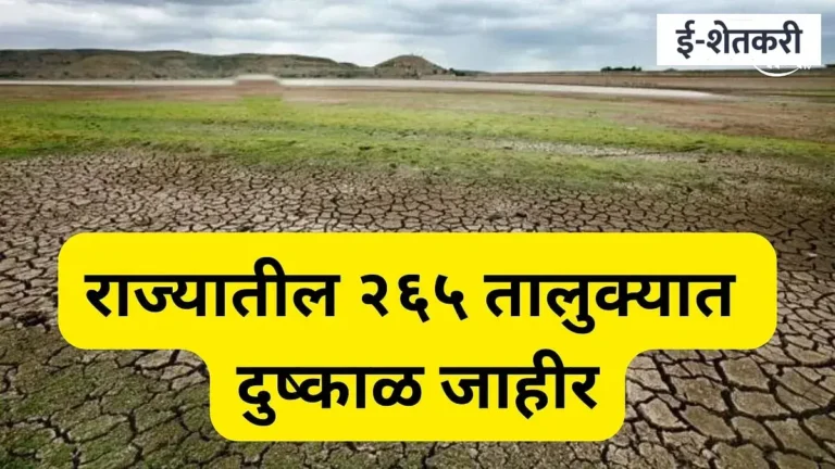 pune news: २६५ दुष्काळग्रस्त तालुक्यांची जिल्हानिहाय यादी: तुमचा तालुका आहे का? पाहा संपूर्ण तपशील